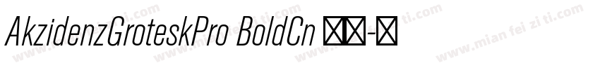 AkzidenzGroteskPro BoldCn 粗体字体转换